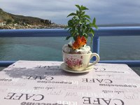 2017-04-10 16-35-29 4244d9be  the setting